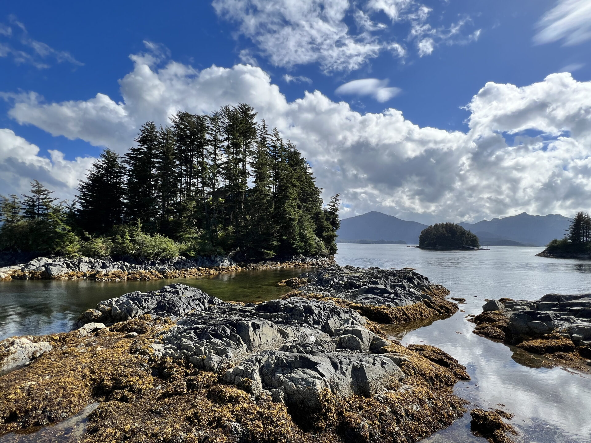 A body of water with trees and rocks in the foreground.